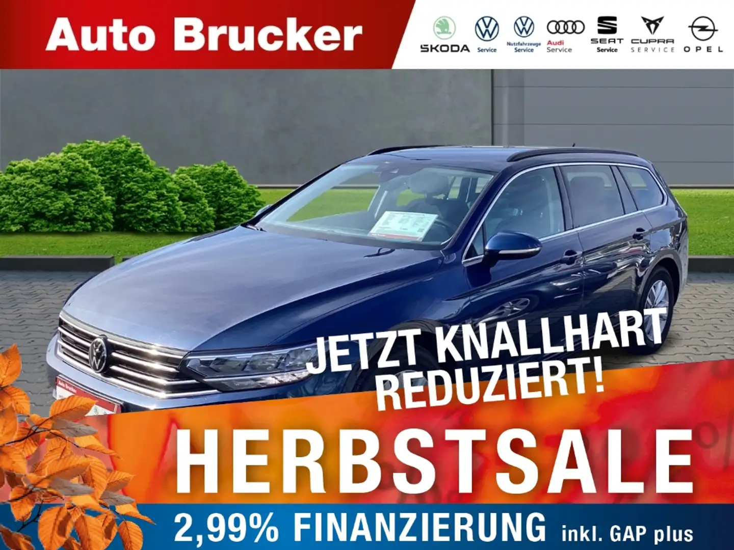 Volkswagen Passat Variant Business 2.0 TDI +Anhängerkupplung+Navi Blau - 1