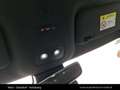 BYD Dolphin Comfort MY2025 Schwarz - thumbnail 29