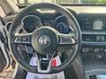Alfa Romeo Stelvio 2.2 T.diesel 210 CV AT8 Q4 Ti Wit - thumbnail 16