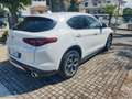 Alfa Romeo Stelvio 2.2 T.diesel 210 CV AT8 Q4 Ti Wit - thumbnail 5