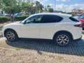 Alfa Romeo Stelvio 2.2 T.diesel 210 CV AT8 Q4 Ti Wit - thumbnail 8