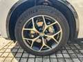 Alfa Romeo Stelvio 2.2 T.diesel 210 CV AT8 Q4 Ti Wit - thumbnail 9