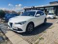 Alfa Romeo Stelvio 2.2 T.diesel 210 CV AT8 Q4 Ti Wit - thumbnail 1