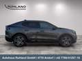 Ford Capri Elektro Extended Range Premium Grau - thumbnail 6