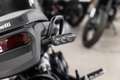 Benelli Leoncino 500, sofort lieferbar, Lieferservice Schwarz - thumbnail 10