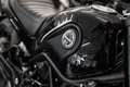 Benelli Leoncino 500, sofort lieferbar, Lieferservice Schwarz - thumbnail 14