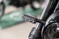 Benelli Leoncino 500, sofort lieferbar, Lieferservice Schwarz - thumbnail 8