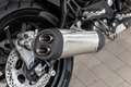 Benelli Leoncino 500, sofort lieferbar, Lieferservice Schwarz - thumbnail 12