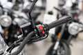 Benelli Leoncino 500, sofort lieferbar, Lieferservice Schwarz - thumbnail 19