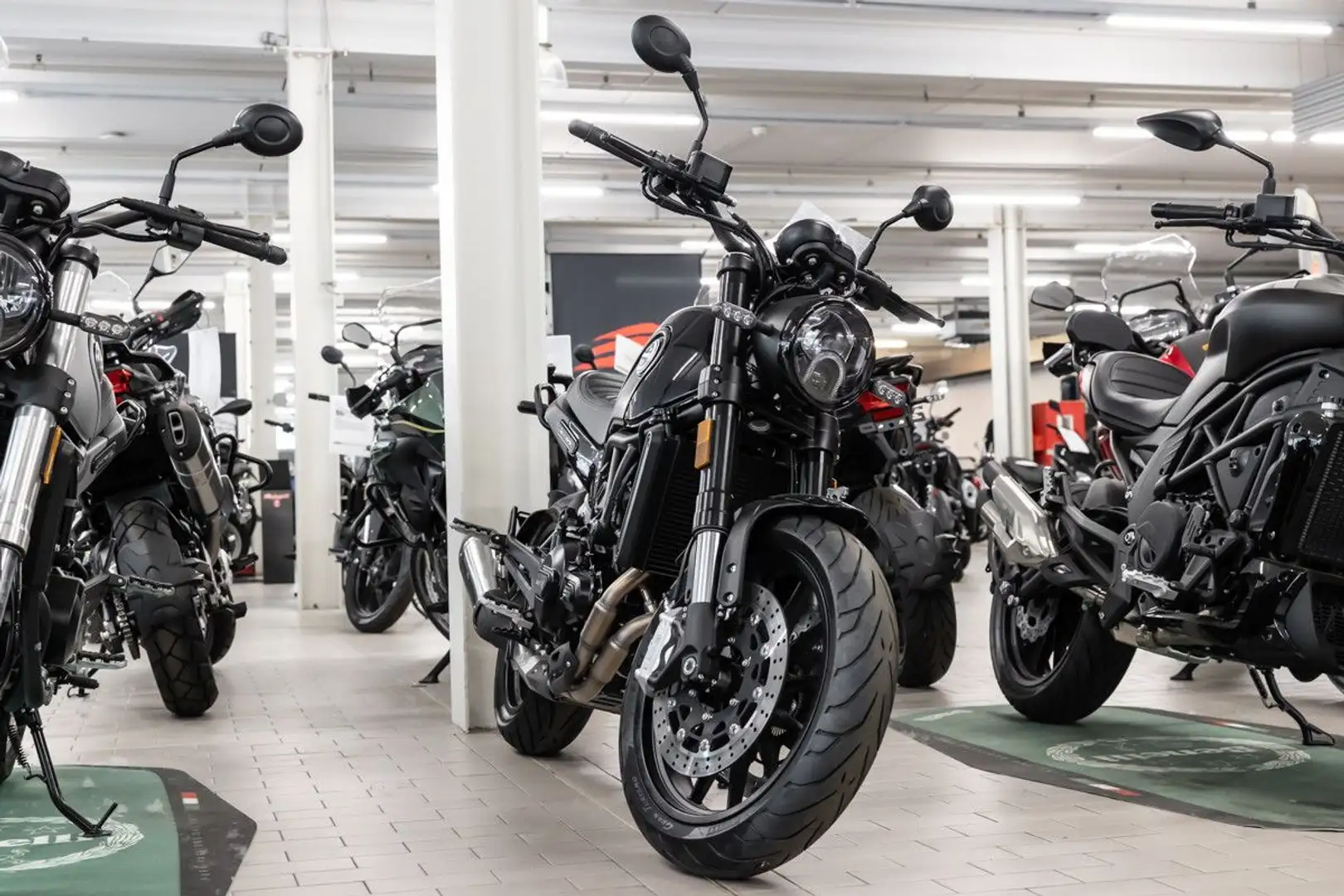 Benelli Leoncino 500, sofort lieferbar, Lieferservice Schwarz - 2
