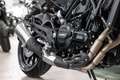 Benelli Leoncino 500, sofort lieferbar, Lieferservice Schwarz - thumbnail 13