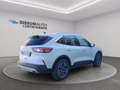 Ford Kuga 1.5 ecoblue titanium 2wd 120cv auto Bianco - thumbnail 5