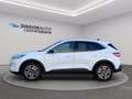 Ford Kuga 1.5 ecoblue titanium 2wd 120cv auto Bianco - thumbnail 2