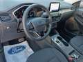 Ford Kuga 1.5 ecoblue titanium 2wd 120cv auto Bianco - thumbnail 15