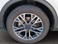 Ford Kuga 1.5 ecoblue titanium 2wd 120cv auto Bianco - thumbnail 13