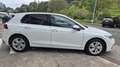 Volkswagen Golf 2.0TDI Life 85kW Blanco - thumbnail 4