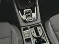 Skoda Octavia Selection TDI DSG Grau - thumbnail 12