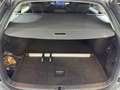Skoda Octavia Selection TDI DSG Grau - thumbnail 16