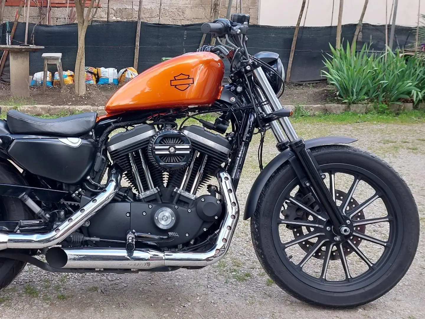 Harley-Davidson Iron 883 Negro - 2