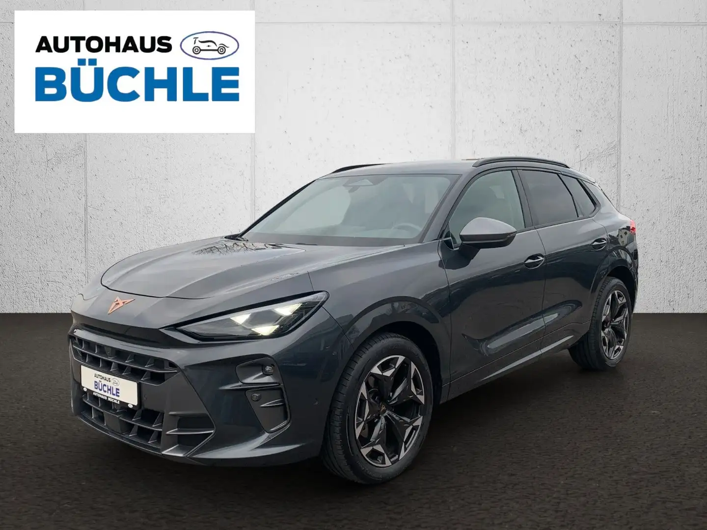 CUPRA Terramar TERRAMAR+AUTOMATIK+NAVI+KAMERA+ACC+LED+HEADUP! Grau - 1