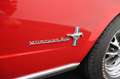 Ford Mustang USA 289 CI 1965 Fastback C-Code *Gerestaureerd* crvena - thumbnail 37