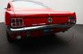 Ford Mustang USA 289 CI 1965 Fastback C-Code *Gerestaureerd* Kırmızı - thumbnail 15