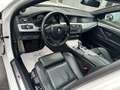 BMW 525 525d xDrive Original M-Paket~Navi~Leder~Xenon~ Білий - thumbnail 10