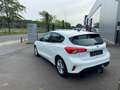 Ford Focus Connected *02762* OC0012 Blanc - thumbnail 4