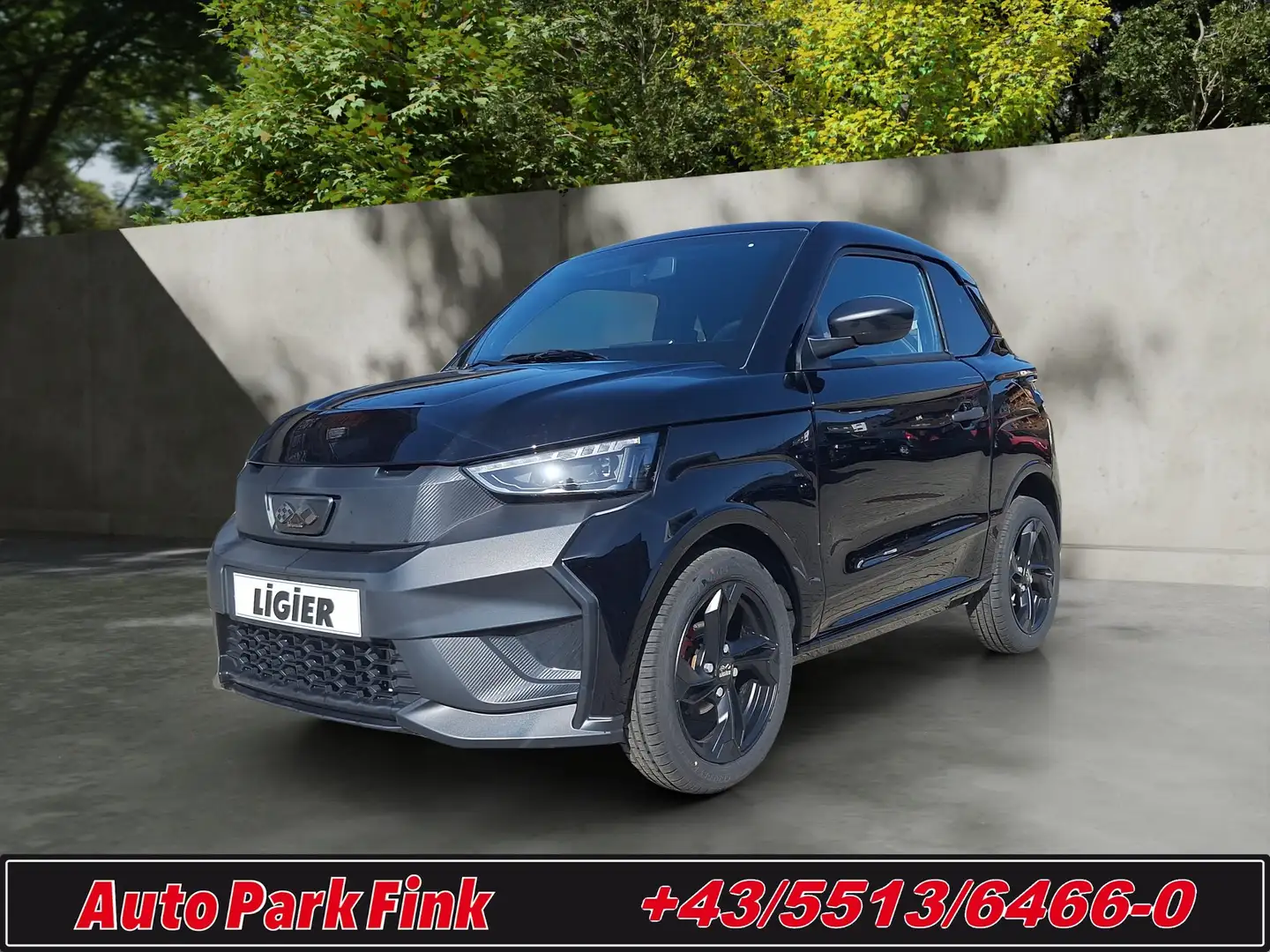 Ligier JS 50 ELITE L6e Diesel SERVO Schwarz - 1