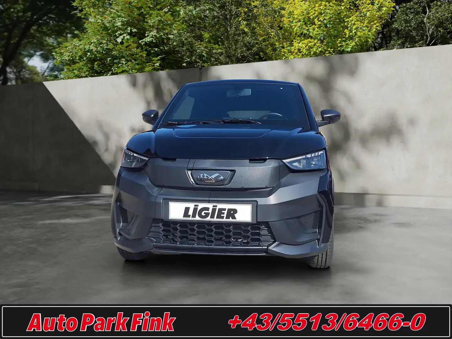 Ligier JS 50 ELITE L6e Diesel SERVO Schwarz - 2