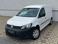 Volkswagen Caddy Maxi Frischedienst 1,6 TDI DPF Weiß - thumbnail 1