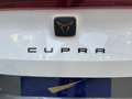 CUPRA Formentor 1.4 e-Hybrid 205 DSG Bianco - thumbnail 15