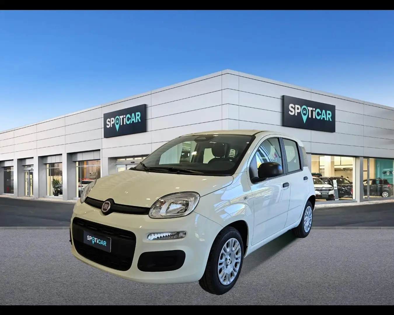 Fiat Panda 1.0 FireFly Hybrid Icon Blanc - 1