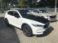 Mazda CX-5 SKYACTIV-G194 Sports-line spez., Leder, 360°Kamera Weiß - thumbnail 14