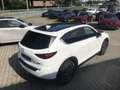 Mazda CX-5 SKYACTIV-G194 Sports-line spez., Leder, 360°Kamera Weiß - thumbnail 18