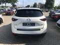 Mazda CX-5 SKYACTIV-G194 Sports-line spez., Leder, 360°Kamera Weiß - thumbnail 9