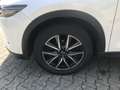 Mazda CX-5 SKYACTIV-G194 Sports-line spez., Leder, 360°Kamera Weiß - thumbnail 5