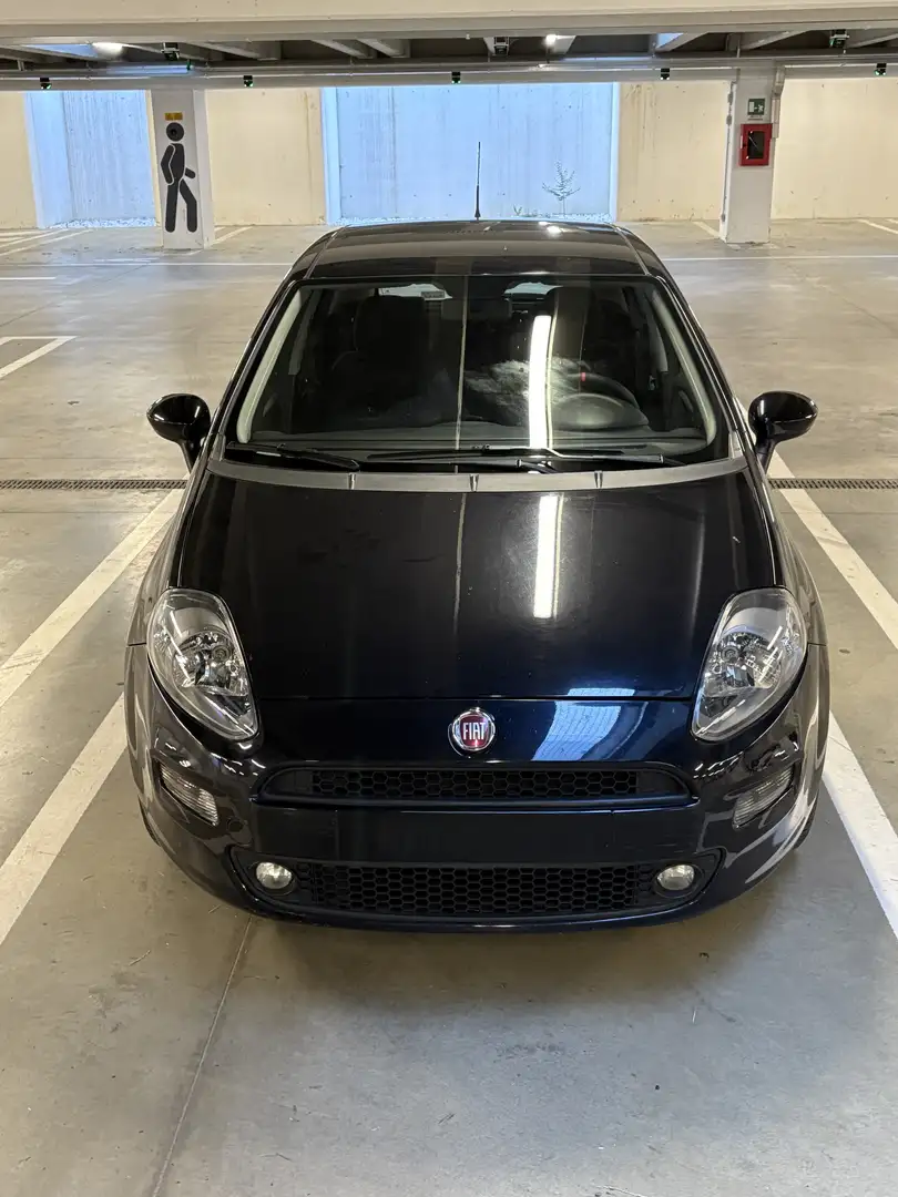 Fiat Punto Evo 5p 1.2 Dynamic s&s - 1