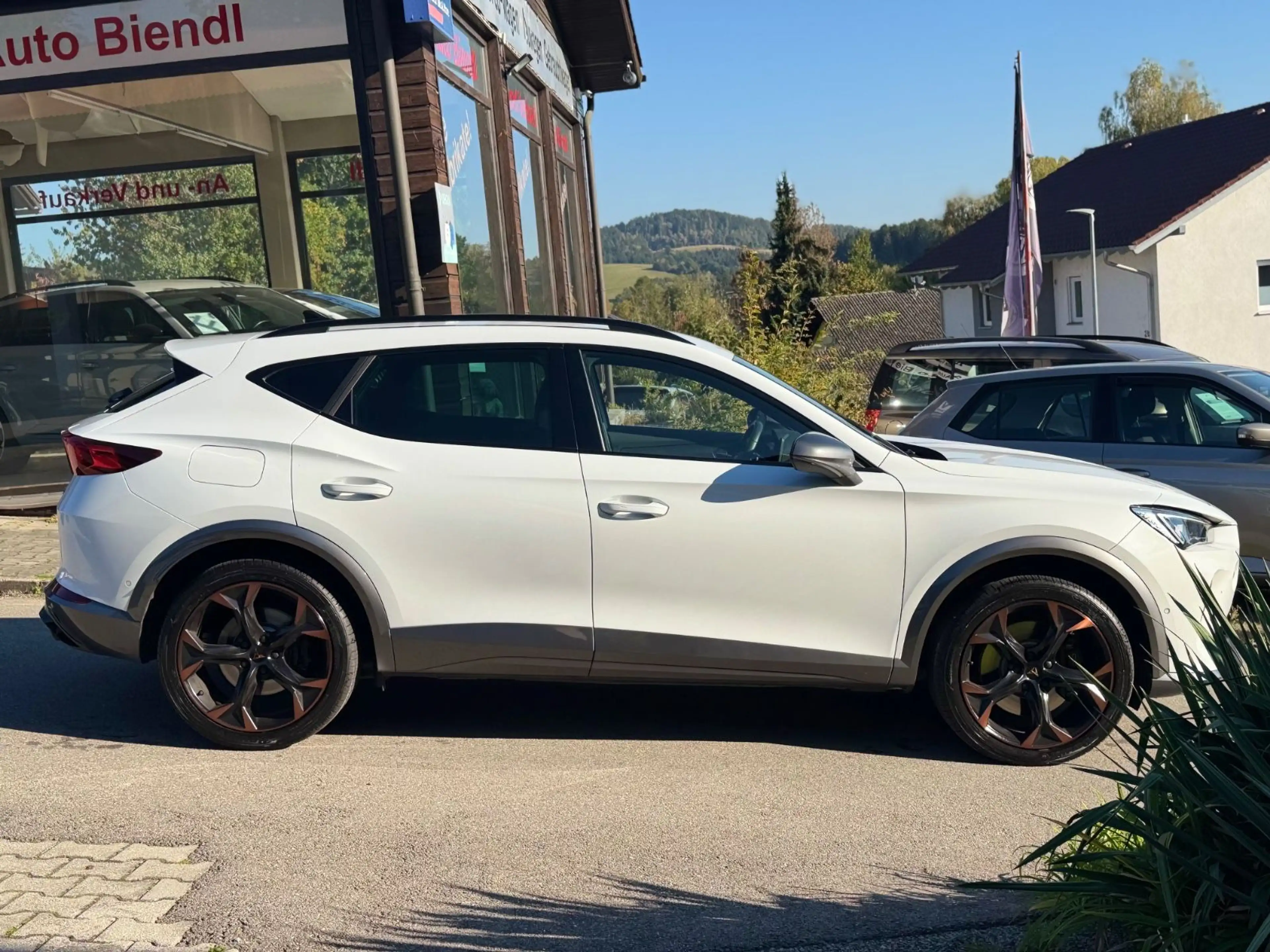 CUPRA Formentor VZ 4Drive CarPlay AHK DAB — photo 8
