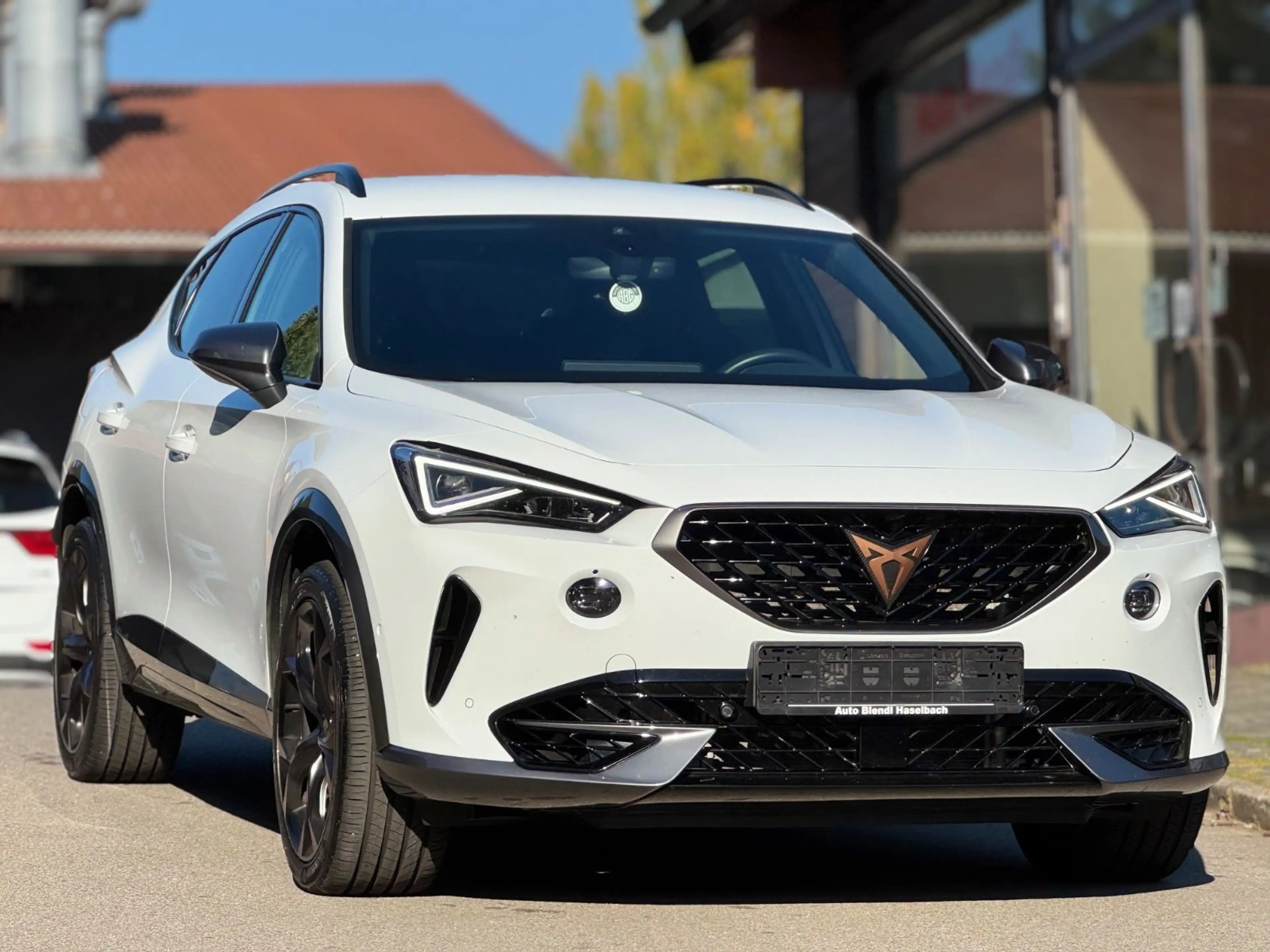 CUPRA Formentor VZ 4Drive CarPlay AHK DAB — photo 9