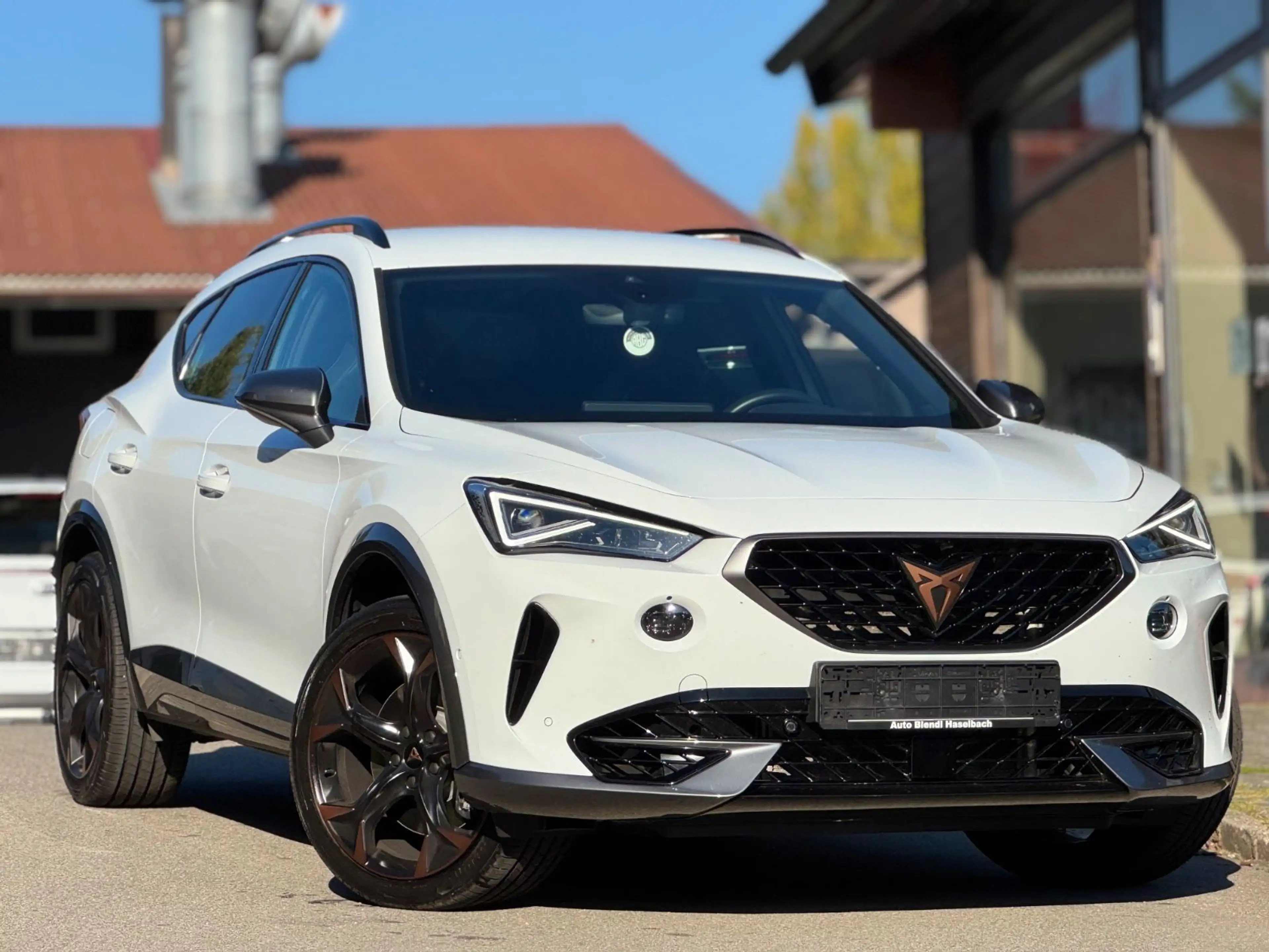 CUPRA Formentor VZ 4Drive CarPlay AHK DAB