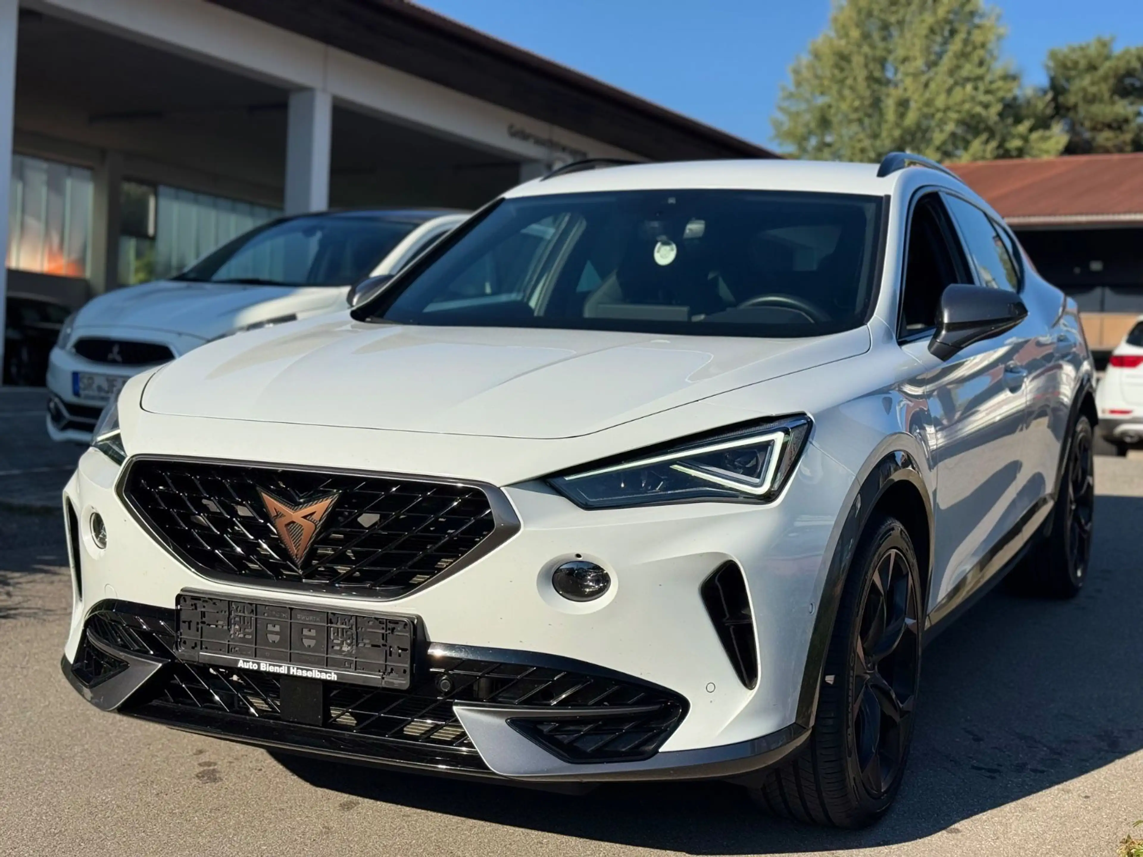 CUPRA Formentor VZ 4Drive CarPlay AHK DAB — photo 3
