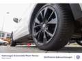 Volkswagen T-Roc 1.5 TSI R-Line DSG Navi Kamera LED uvm Weiß - thumbnail 8
