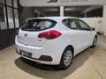Kia Ceed / cee'd 1.4CRDi Drive Blanco - thumbnail 6