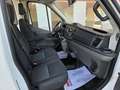 Ford Transit FT 350 L3 Kombi Trend 130 - thumbnail 11