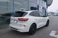 Ford Kuga KUGA SOUND EDITN 5D 2.5HEV 183PS CVT AWD Weiß - thumbnail 4