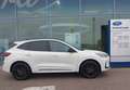 Ford Kuga KUGA SOUND EDITN 5D 2.5HEV 183PS CVT AWD Weiß - thumbnail 3
