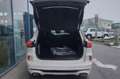 Ford Kuga KUGA SOUND EDITN 5D 2.5HEV 183PS CVT AWD Weiß - thumbnail 6