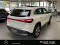 Mercedes-Benz EQA 350 EQA 350 4M Progressive Pano,Distron,KeyGo,Winter Weiß - thumbnail 5