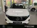 Mercedes-Benz EQA 350 EQA 350 4M Progressive Pano,Distron,KeyGo,Winter Weiß - thumbnail 3